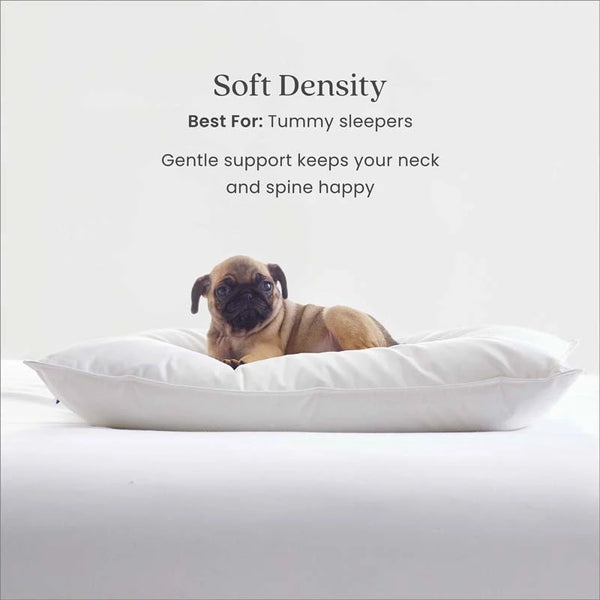 Best Down Premium Pillow – Soft, Standard Size | Nova Box